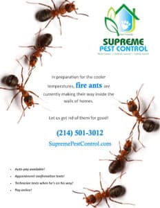 Pest Control Services by Supreme Pest Control in Wylie