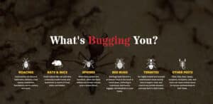 Pest Control Services by Sure Shot Pest Control in Paris