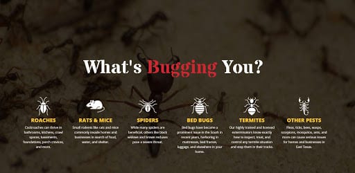 Pest Control Services by Sure Shot Pest Control in Paris
