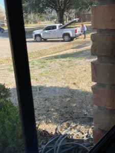 Pest Control Services by Sureguard Lawn & Pest in Dallas