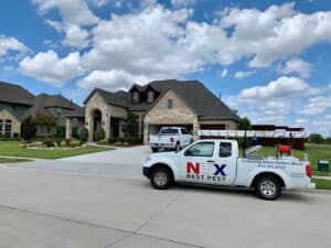 Pest Control Services by Sureguard Lawn & Pest in Frisco