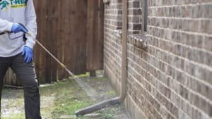 Pest Control Services by T-Rex Pest Control in Fate
