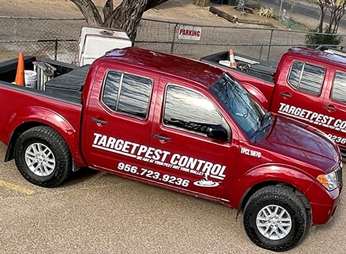 Pest Control Services by Target Pest Control in Laredo