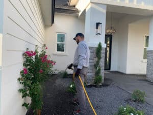 Pest Control Services by Termio Pest Control in Houston