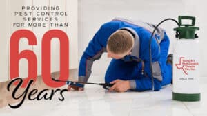 Pest Control Services by Texas A-1 Pest Control And Termite Co in Houston