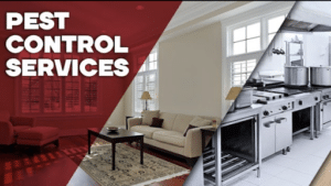 Pest Control Services by Texas Best Pest & Termite Management in Richmond