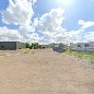 Pest Control Services by Texas Boll Weevil Eradication in Harlingen, Texas