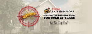 Pest Control Services by Texas Exterminators in Houston