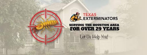 Pest Control Services by Texas Exterminators in Houston