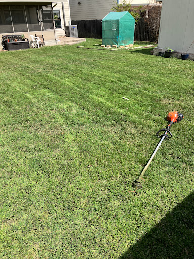 Pest Control Services by Texas Terrain Lawn Care in San Antonio