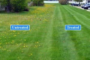 Pest Control Services by Texas Weed Control