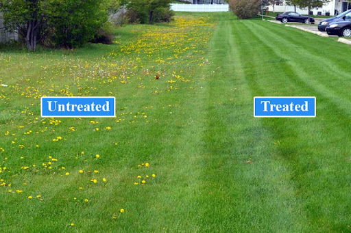 Texas Weed Control, Llc, Pest Control company in San Antonio Pest Control Services by Texas Weed Control, Llc in San Antonio, Texas