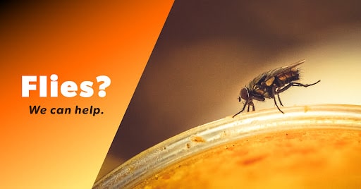 The Bug Master - Residential & Commercial Pest Control, Pest Control company in San Antonio Pest Control Services by The Bug Master - Residential & Commercial Pest Control in San Antonio, Texas