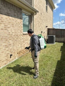 Pest Control Services by The Restoration Attics in Houston