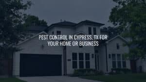 Pest Control Services by Tnt Home & Commercial Services in Cypress