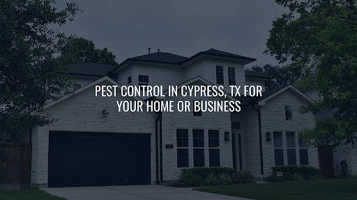 Tnt Home & Commercial Services, Pest Control company in Cypress Pest Control Services by Tnt Home & Commercial Services in Cypress, Texas