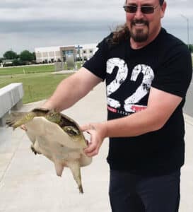 Pest Control Services by Top-O-Texas Termite & Pest Control Inc. in Wichita Falls
