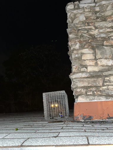 Pest Control Services by Tornado Pest Control And Pressure Washing Solutions Llc in San Antonio