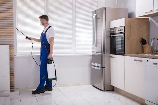 Total Pest Control Balch Springs, Pest Control company in Balch Springs Pest Control Services by Total Pest Control Balch Springs in Balch Springs, Texas