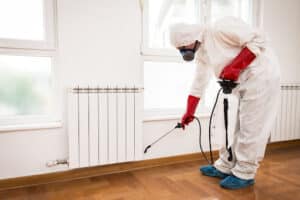 Pest Control Services by Total Pest Control Little Elm in Little Elm