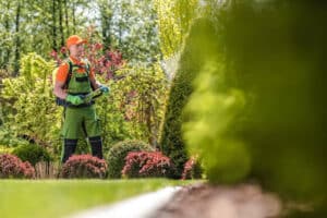 Pest Control Services by Total Pest Control Lochwood in Dallas