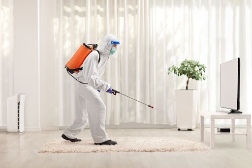 Total Pest Control, Pest Control company in Richardson Pest Control Services by Total Pest Control in Richardson, Texas
