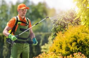 Pest Control Services by Total Pest Control The Colony in The Colony