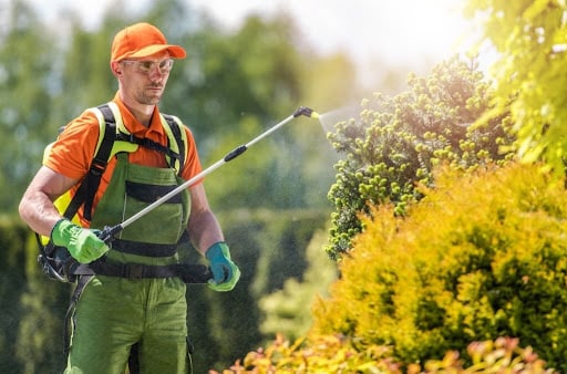 Pest Control Services by Total Pest Control The Colony in The Colony