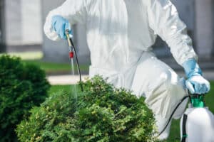 Pest Control Services by Totalease Dallas Pest Control in Dallas