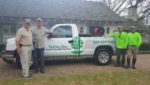 Pest Control Services by Trees Hurt Too Inc. in Forest Hill