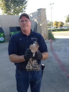 Pest Control Services by Triple L Pest Control Llc in Cedar Park
