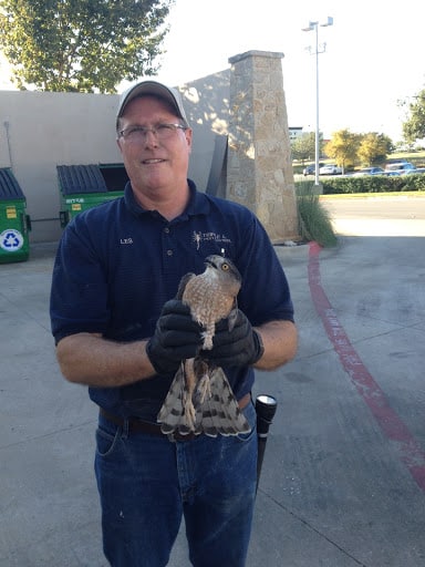 Pest Control Services by Triple L Pest Control Llc in Cedar Park