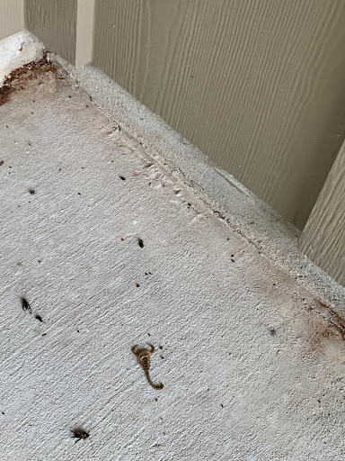 Pest Control Services by Turner Pest Control in Greenville, Texas