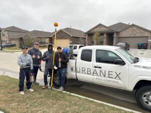 Pest Control Services by Urbanex Pest Control in Farmers Branch
