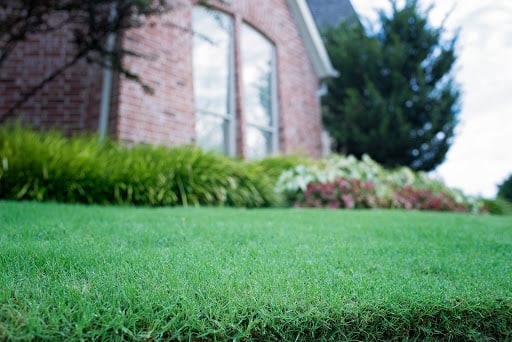 Village Green Lawn And Pest, Pest Control company in Plano Pest Control Services by Village Green Lawn And Pest in Plano, Texas