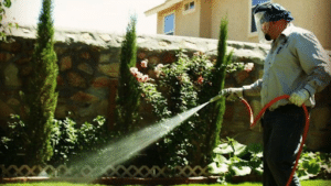 Pest Control Services by Villalobos Pest Control in El Paso