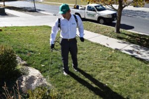 Pest Control Services by Vinx Pest Control in Richardson