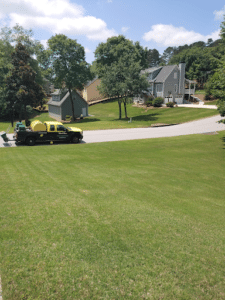 Pest Control Services by Weed Man Lawn Care in Houston
