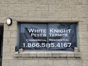 Pest Control Services by White Knight Pest Control in Houston