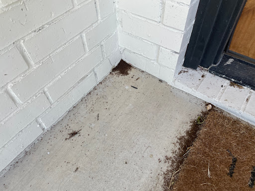 Pest Control Services by White Knight Pest Control
