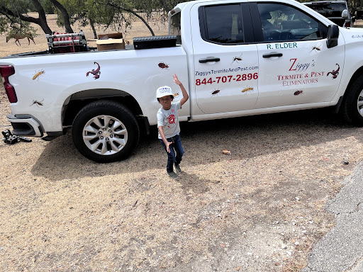 Pest Control Services by Ziggy'S Termite & Pest Eliminators in Stafford, Texas