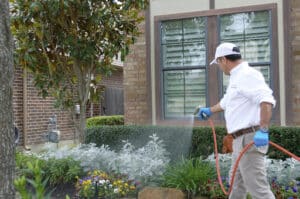 Pest Control Services by Zorro Pest Control in Cypress