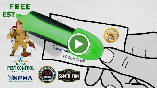 iPest Solutions, Pest Control company in Hewitt Pest Control Services by iPest Solutions in Hewitt, Texas
