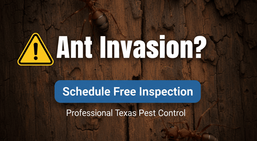 Hometeam Pest Defense - Pest Control Services - Houston, TX